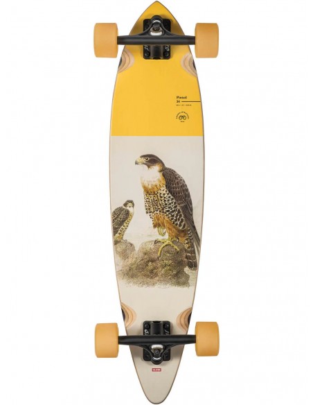 GLOBE Pintail 34 Falcon