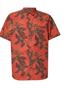 Montecito Button Down SS