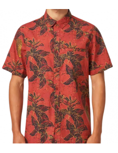 Montecito Button Down SS