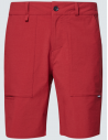 B1B HYBRID SHORTS
