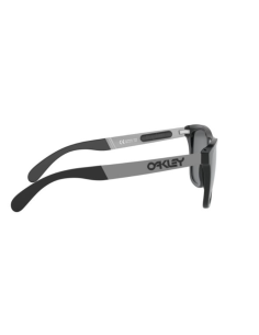 Oakley Frogskins