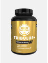 TRIBULUS - GOLD NUTRITION