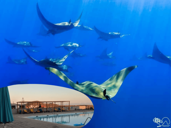 Santa Maria Dive Trip